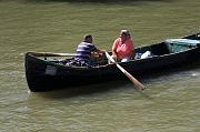 229-Delta del Danubio,7 agosto 2011